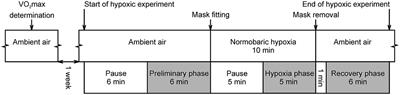 Sex Differences in Autonomic Cardiac Control and Oxygen Saturation Response to Short-Term Normobaric Hypoxia and Following Recovery: Effect of Aerobic Fitness